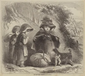 Ein unverschämter Welpe